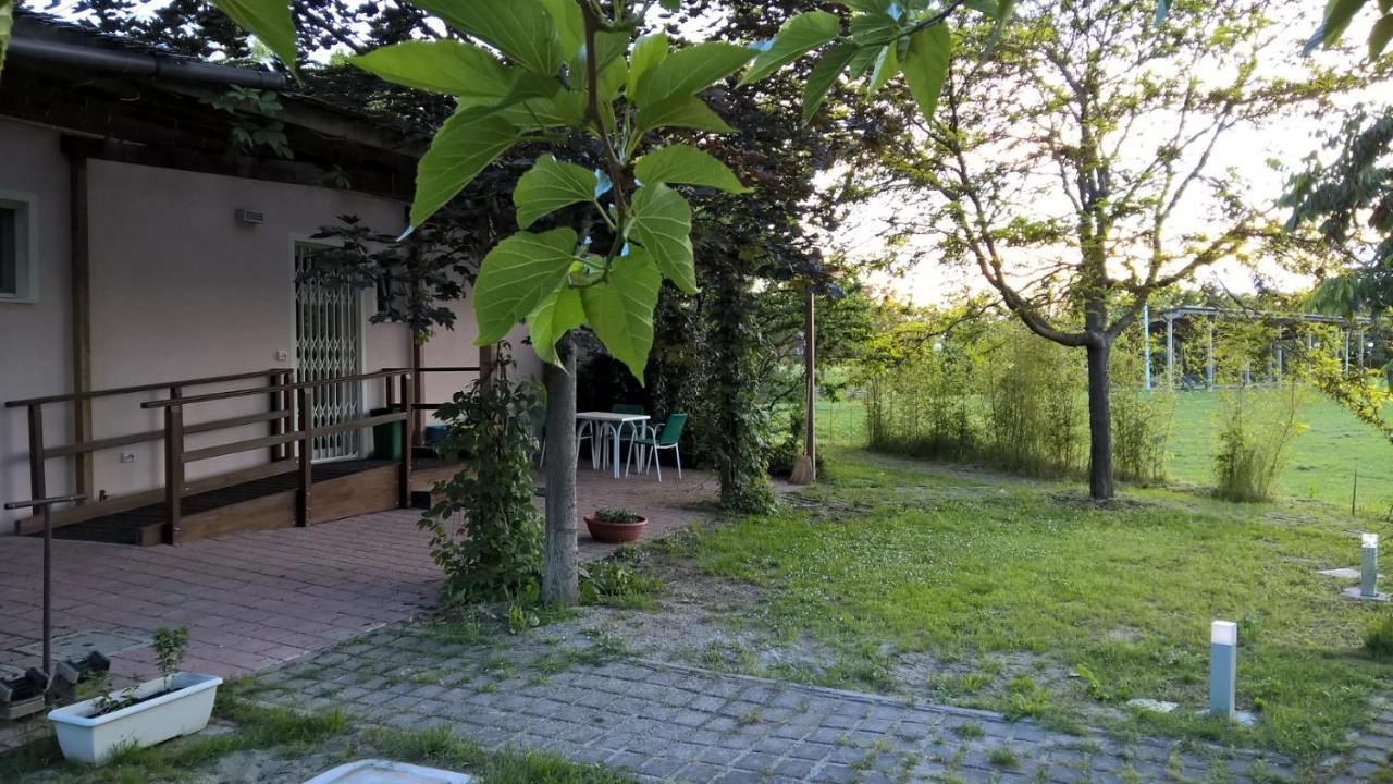Rose Canine B&B Cesenatico Eksteriør billede