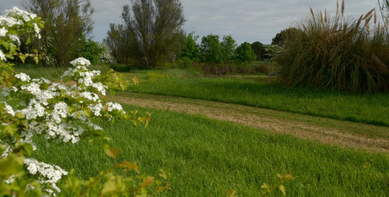 Rose Canine B&B Cesenatico Eksteriør billede