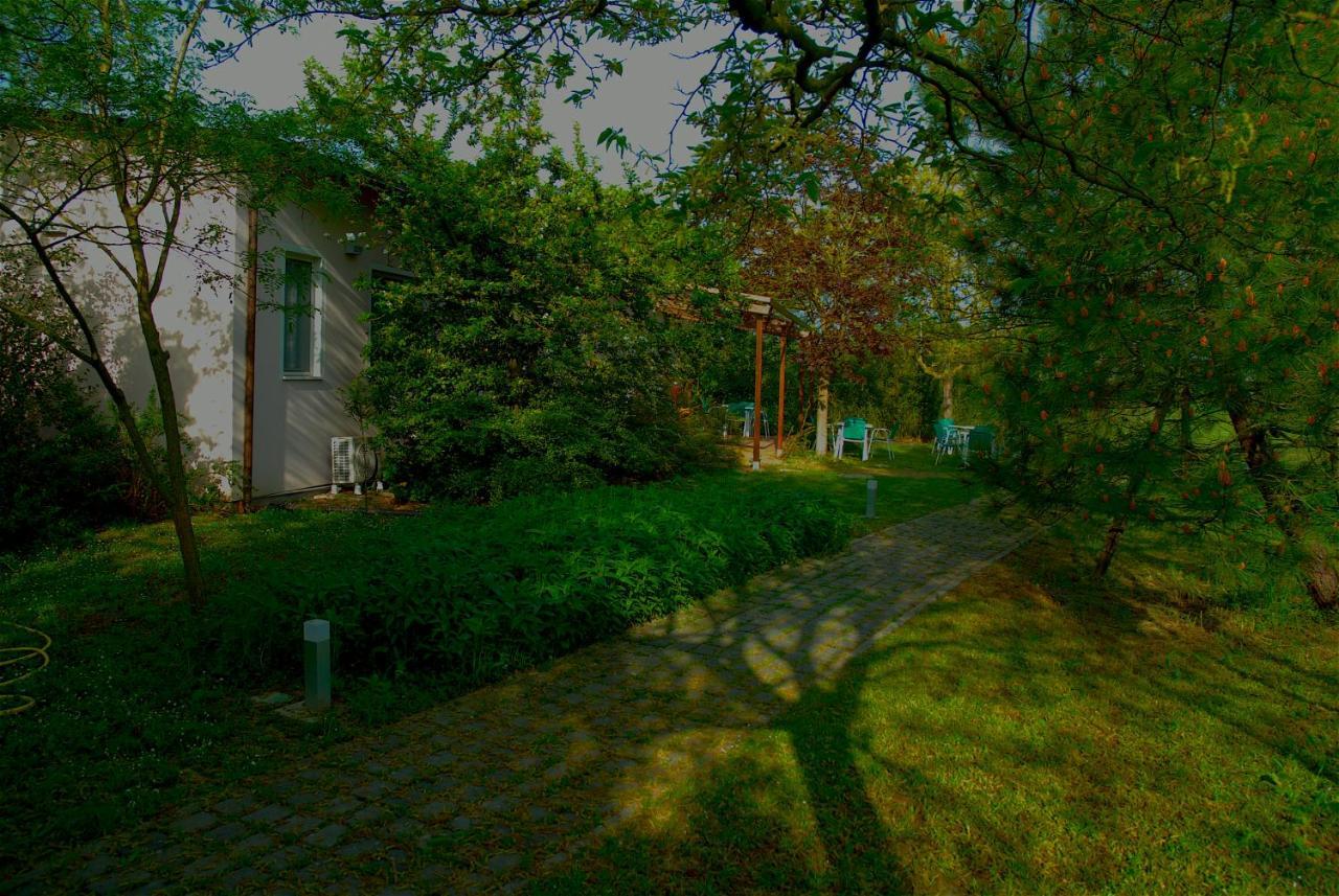 Rose Canine B&B Cesenatico Eksteriør billede
