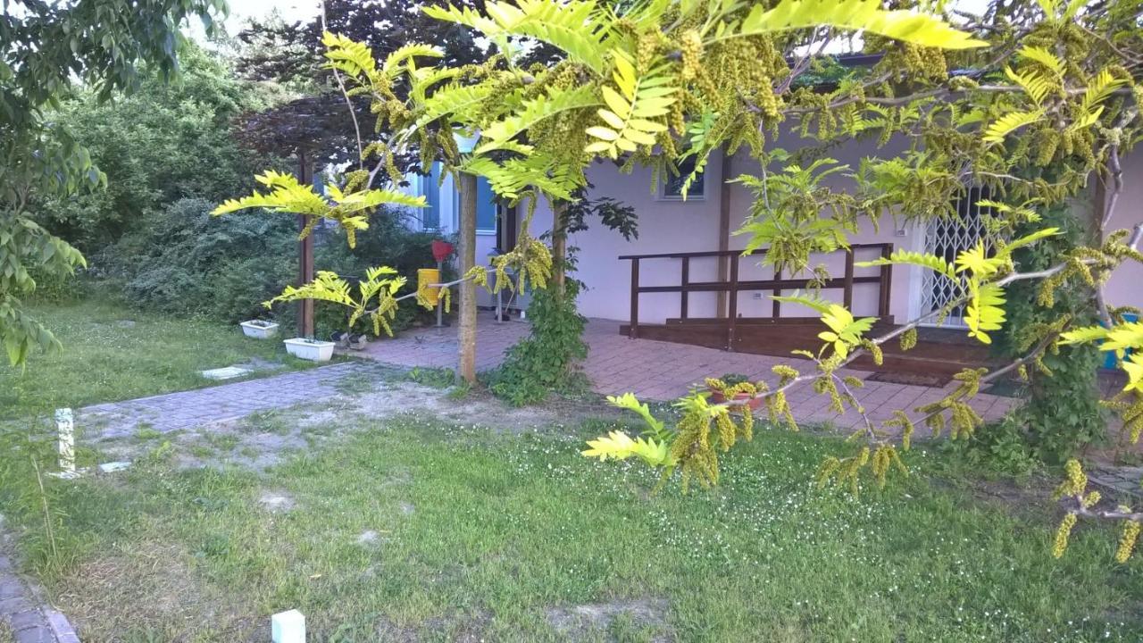 Rose Canine B&B Cesenatico Eksteriør billede