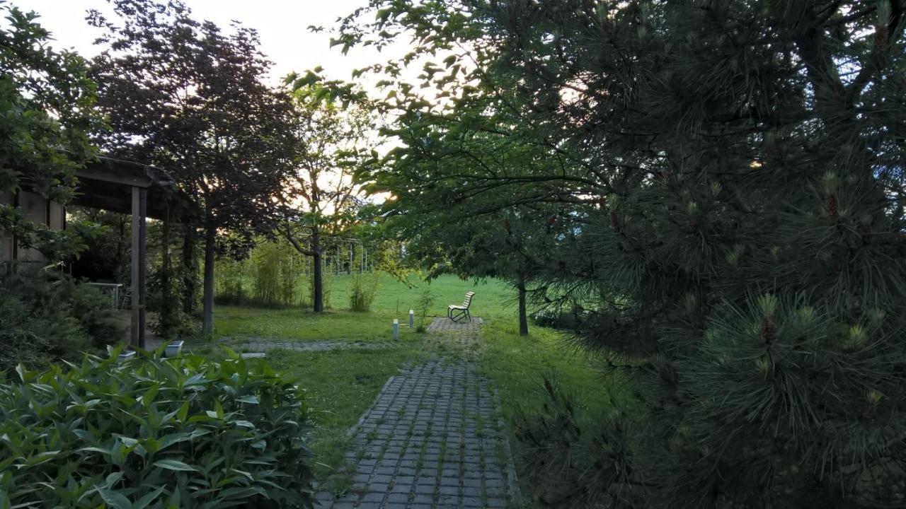 Rose Canine B&B Cesenatico Eksteriør billede